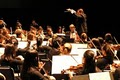American Youth Philharmonic Orchestras logo
