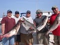 Angler Sportfishing Charters image 6