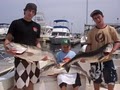 Angler Sportfishing Charters image 9