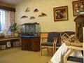 Animal Hospital of Mt. Pocono image 3