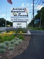 Animal Hospital of Mt. Pocono image 6