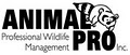 Animal Pro, Inc. logo