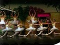 Anita's Dance Center image 5