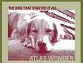 Atlas Dog Walking logo