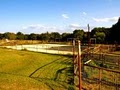 Austin Tri-Star Farms image 5