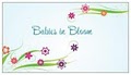 Babies in Bloom Birth Services & More image 3