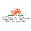 Babies in Bloom Birth Services & More logo