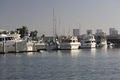 Balboa Marina image 2
