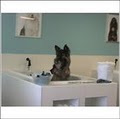 Barkin'dales Dog Wash & Boutique image 6