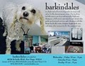 Barkin'dales Dog Wash & Boutique image 8