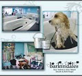 Barkin'dales Dog Wash & Boutique image 9