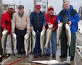 Benchmark Sportfishing Charters image 3