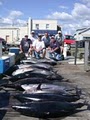 Benchmark Sportfishing Charters image 4