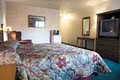 Best Western Mammoth Hot Springs image 7