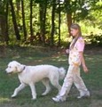 Bokhara Pet Resort (Serving Traverse City) image 4