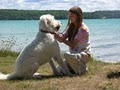 Bokhara Pet Resort (Serving Traverse City) image 5