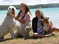 Bokhara Pet Resort (Serving Traverse City) image 10