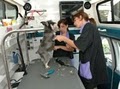 Bow Wow Mobile Grooming (Cats & Dogs) image 2