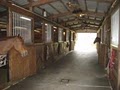 Brandywine Stables image 4