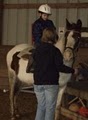Breezy Bluff Riding Academy image 2