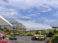 Breezy Hill Nursery Inc. image 1
