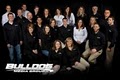 Bulldog Media Group, Inc. image 3