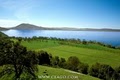 CEAGO WINERY & BIODYNAMIC FARM image 3