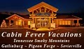 Cabin Fever Vacations image 8