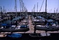 California Yacht Marina - Port Royal logo