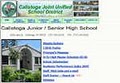 Calistoga Junior-Senior High logo