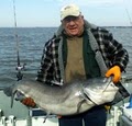 Capt. Bill Saltzman's Fishing Guide Service image 1