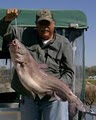 Capt. Dave Broome's Catfish Crappie and Bream Fishing Guide Service image 1