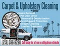 Carpet Cleaning image 3