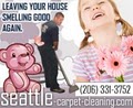 Carpet Cleaning image 9