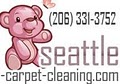 Carpet Cleaning logo