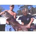 Catfish Guide Eutawville Santee Cooper Cat Fish'n Fool image 2