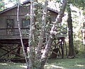 Cedar Creek Lodge & Chalets image 5