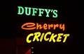Cherry Cricket image 9