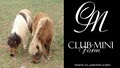 Club Mini Farm image 3