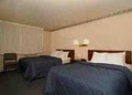 Comfort Inn & Suites at Maplewood image 9