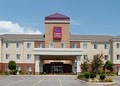Comfort Suites image 6