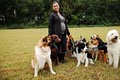 DC Dog Care image 5