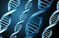 DNA Paternity Testing Center of Louisville logo