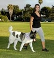Daley Dog Walking "Because Your Pet Deserves It" image 3