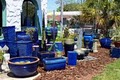 Dania Beach Water Gardens & Gifts image 3