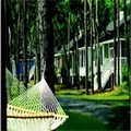 Daufuskie Island Resort & Breathe Spa image 6