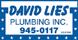 David Lies Plumbing Inc logo