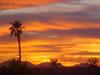 Desert Valley RV Park image 3