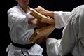 Detroit Karate Kids School-Institute of Martial Arts image 7