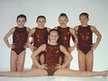Deveau's School of Gymnastics image 1